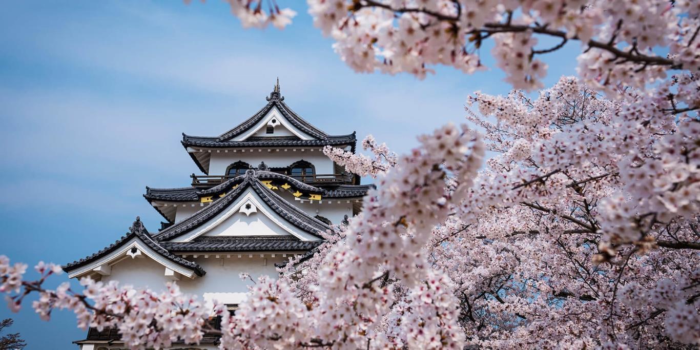 CUNG ĐƯỜNG VÀNG TẾT NGUYÊN ĐÁN TOKYO – YAMANASHI – NAGOYA – KYOTO - OSAKA