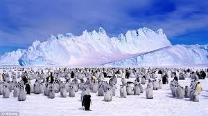 TOUR KHÁM PHÁ NAM CỰC – HÀNH TRÌNH ĐẾN VÙNG ĐẤT CUỐI CÙNG CỦA THẾ GIỚI